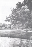 College of Boca Raton in 1981 by College of Boca Raton