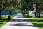 Campus Closed Empty Sidewalks by Evan Musgrave