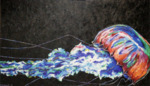 Aurelia (Jelly Fish) - Acrylic on Canvas by Michael Arsenault