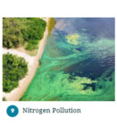 Nitrogen Pollution by Izzy Cress
