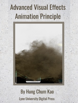 Advanced Visual Effects Animation Principle