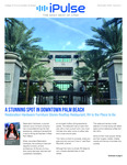 iPulse: November 2024 by Lynn University
